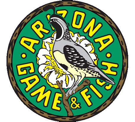 Az game and fish department - Jaguar Sightings: Report any possible jaguar sightings immediately to the Arizona Game and Fish Department (520-388-4449 or 623-236-7201) or to the New Mexico Department of Game and Fish (505-522-9796). Take very detailed notes on …